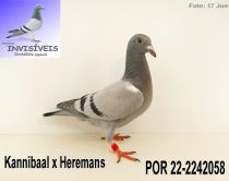 POR 22-2242058